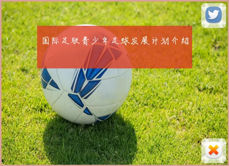国际足联青少年足球发展计划介绍